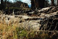 DSC_0445www_s.jpg