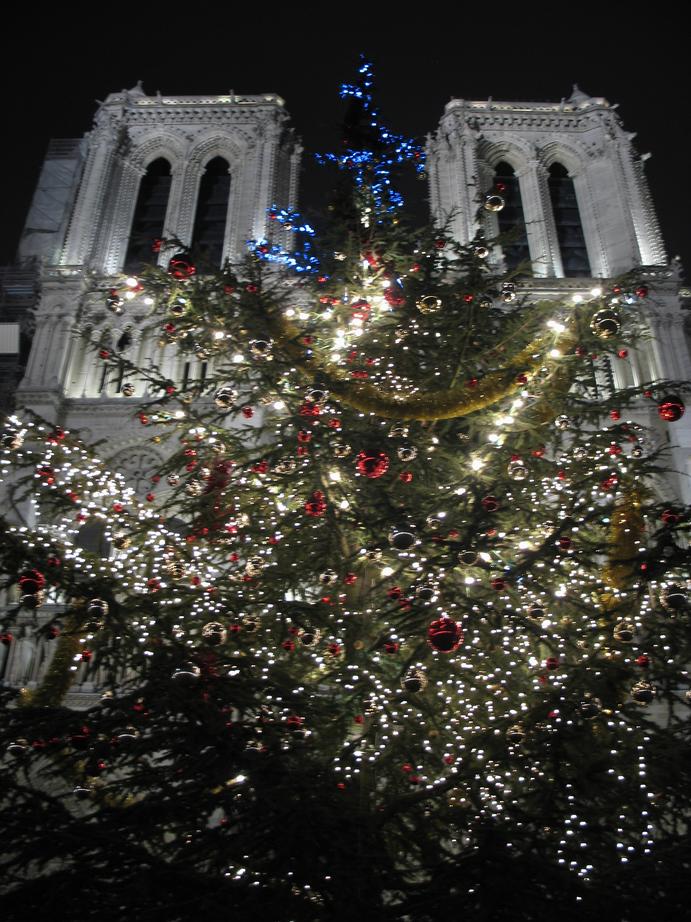 IMG_2279_www.jpg