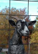 DSC_8182www_s.jpg