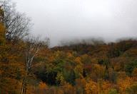 DSC_8550www_s.jpg
