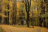 DSC_8566www_s.jpg