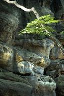 DSC_7459www_s.jpg