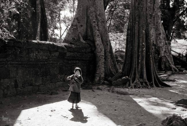 Angkor Vat, Cambodia (2012)
