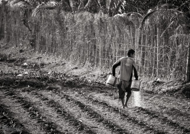 Cambodia (2012)