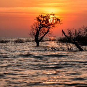 Tonle Sap lake, Cambodia (2012)