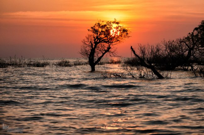 Tonle Sap lake, Cambodia (2012)