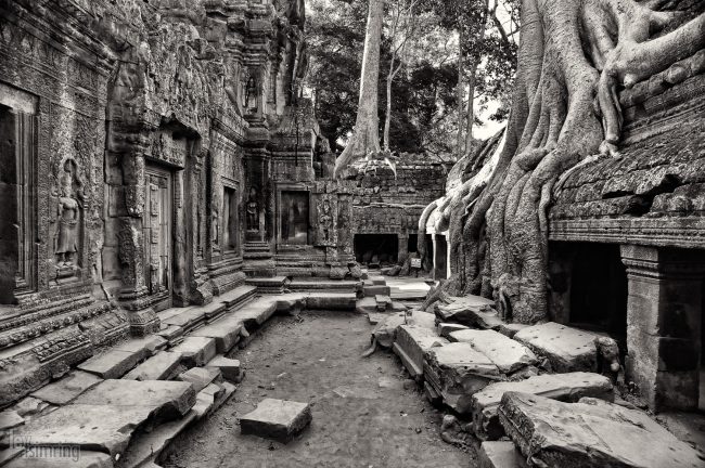 Angkor Vat, Cambodia (2012)