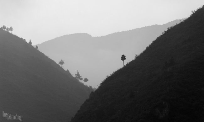 Yangtze river, China (2008)