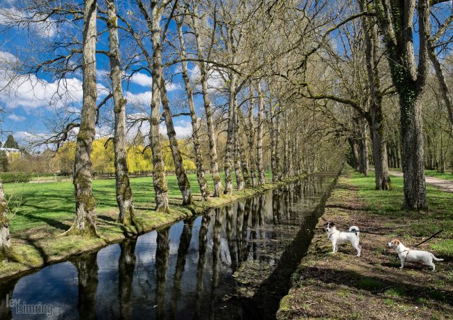 Chenonceau, France (2015)