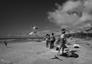 La Jolla, USA (2016)