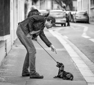 Unsentimental education Caen, France (2015)