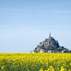 Mont St.Michel, France (2015)