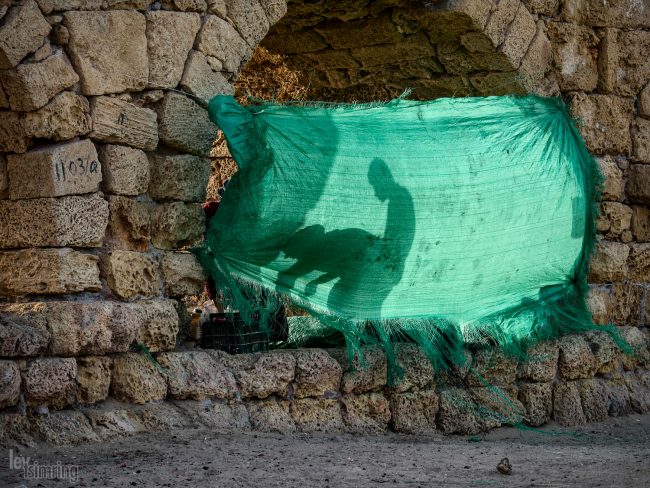 Caesarea, Israel (2016)