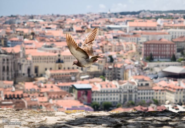 Lisbon, Portugal (2014)