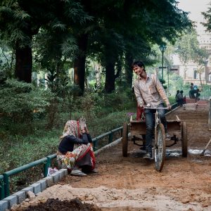 Delhi, India (2014)