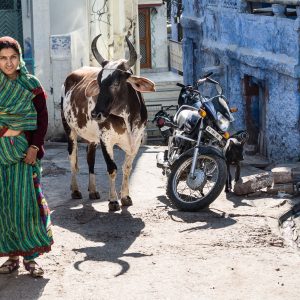 Jodhpur, India (2014)