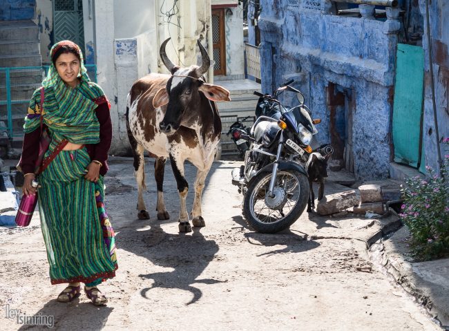 Jodhpur, India (2014)