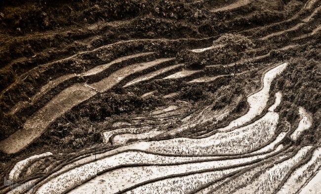 Sapa, Vietnam (2015)