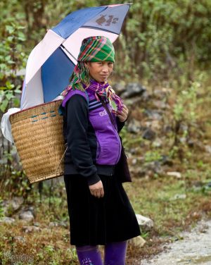 Sapa, Vietnam (2015)