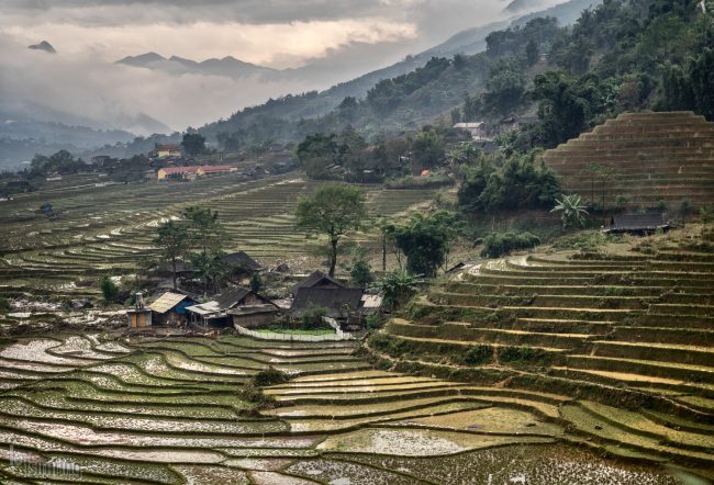 Sapa, Vietnam (2015)