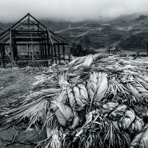 Sapa, Vietnam (2015)