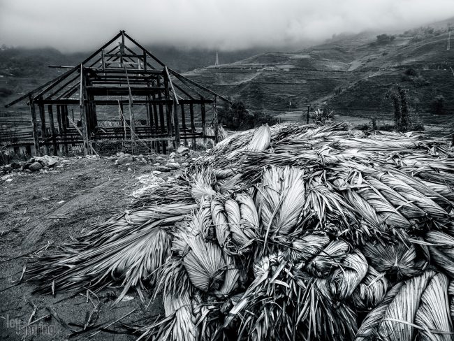 Sapa, Vietnam (2015)
