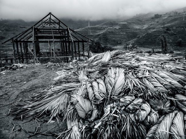 Sapa, Vietnam (2015)