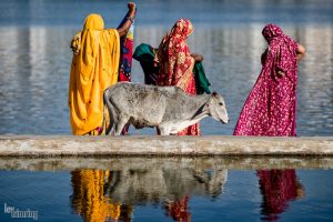 Pushkar, India (2014)