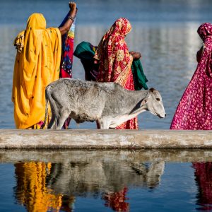 Pushkar, India (2014)