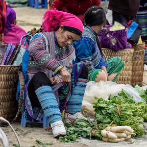 Sapa, Vietnam (2015)