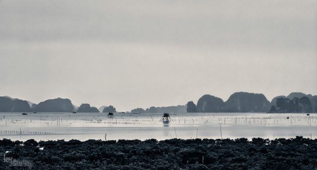 Halong bay, Vietnam (2015)