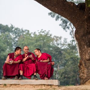 Sarnath, India (2014)