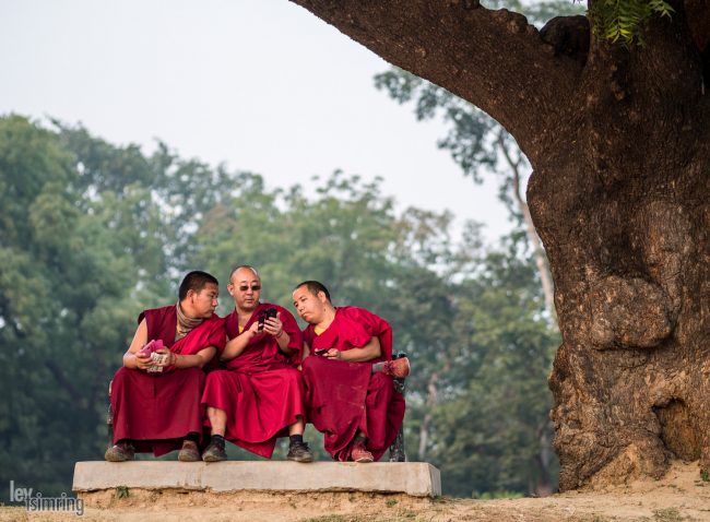 Sarnath, India (2014)