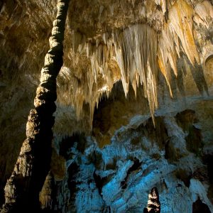 Carlsbad Caverns, New Mexico, USA (2005)