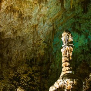 Carlsbad Caverns, New Mexico, USA (2005)