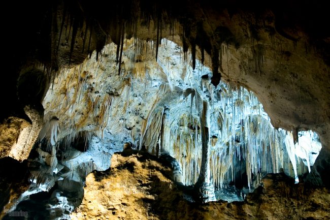 Carlsbad Caverns, New Mexico, USA (2005)