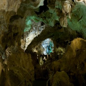 Carlsbad Caverns, New Mexico, USA (2005)