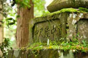 Japan (2010)