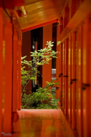 Tokyo, Japan (2010)