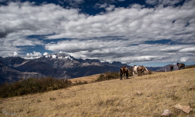 Sacred Valley, Peru (2013)