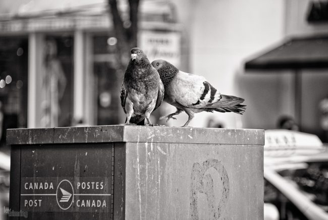 Vancouver, Canada (2011)