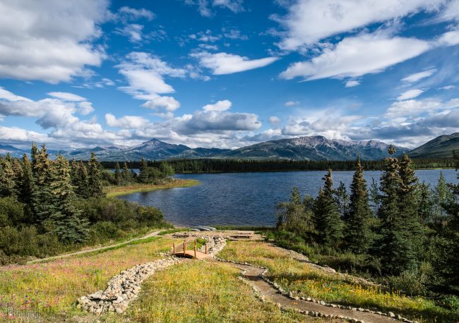 Denali, Alaska (2016)