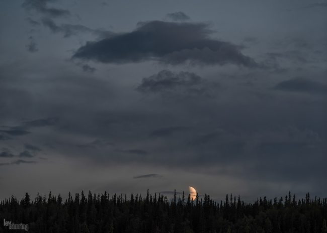 Denali, Alaska (2016)