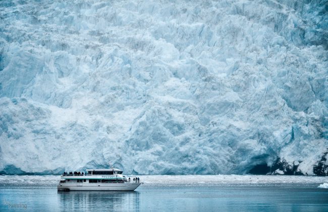 Resurrection Bay, Alaska (2016)