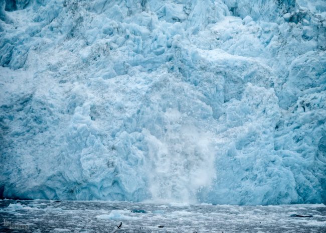 Resurrection Bay, Alaska (2016)