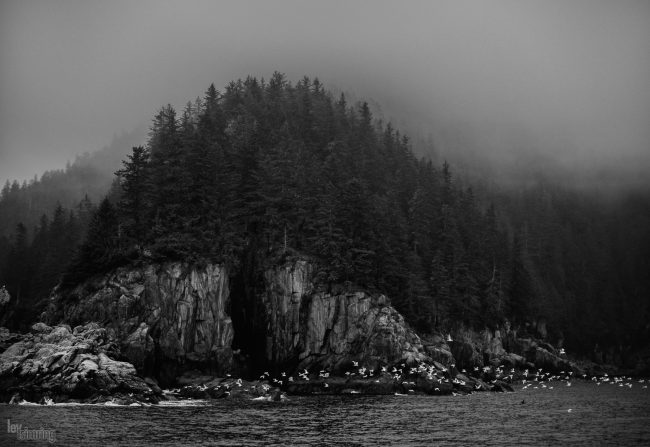 Resurrection Bay, Alaska (2016)