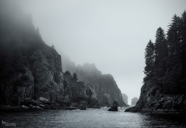 Resurrection Bay, Alaska (2016)