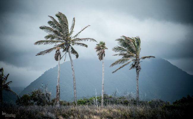 Big island, Hawaii (2014)