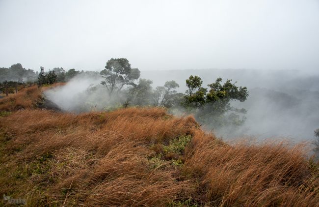 Big island, Hawaii (2014)