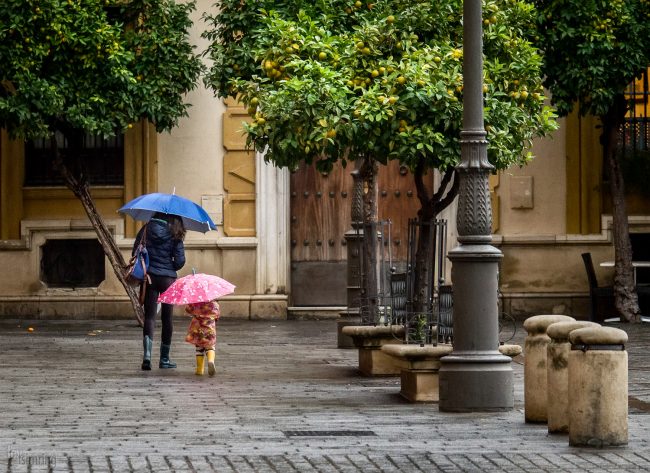 Seville, Spain (2016)